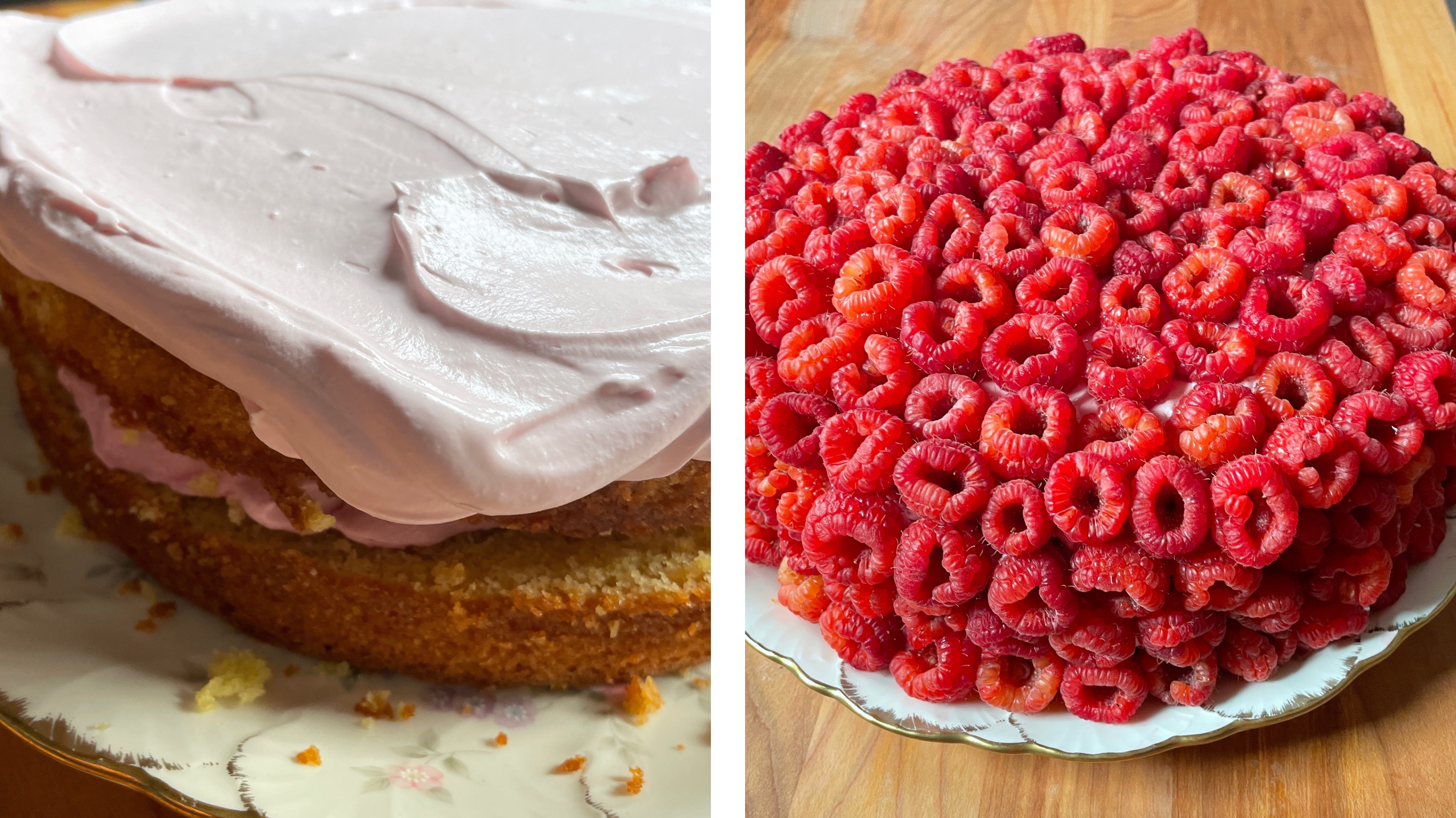 Large Raspberry Cake Raspberry Pound Cake - by Carolina Gelen - SCRAPS