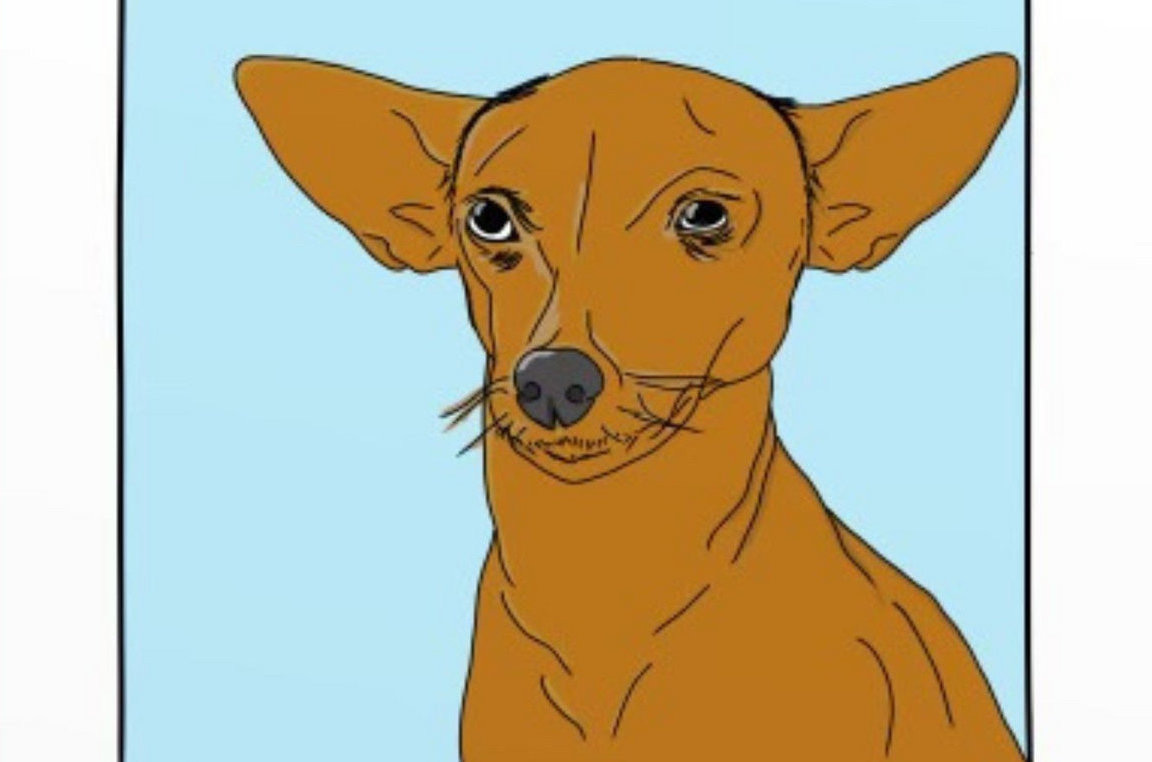 drawing of a big eared brown dog against a pale blue background