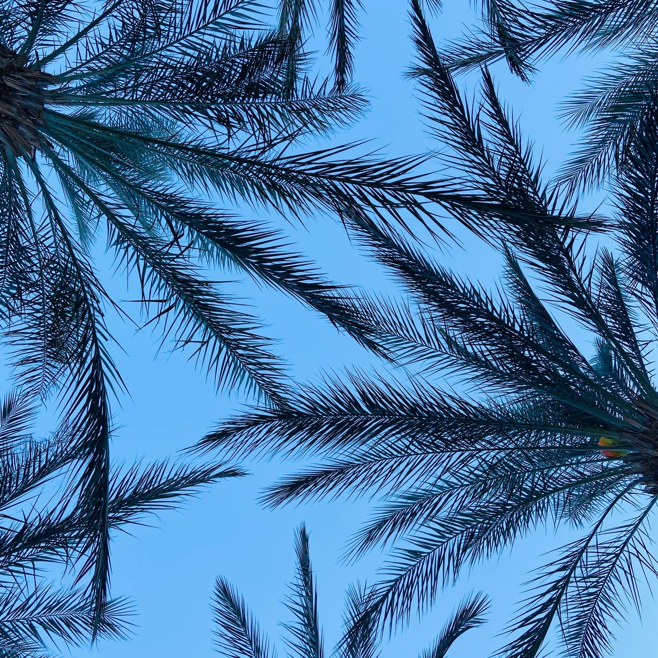 Quality Time w/ David Mills