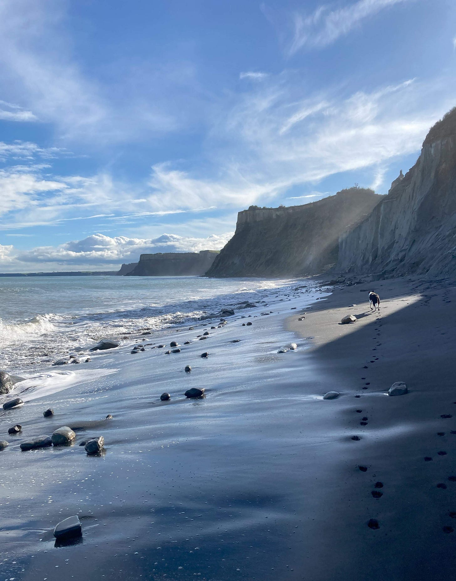 Blue sky, hazy cliffs and a stone-studded, black-sand beach, with a black and white dog in the only patch of sun to touch the sand