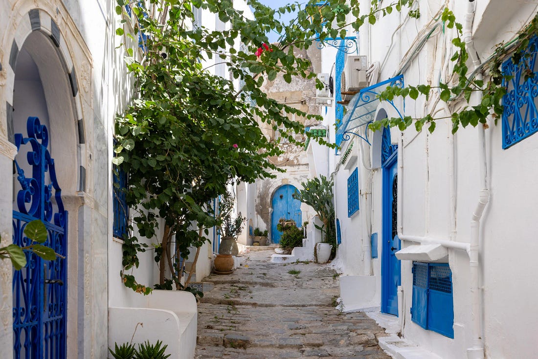 Steep cobblestone passageway in Sidi Bou Said shaded by green vines and framed by whitewashed walls, cobalt doors, and wrought-iron balconies. The layered textures of stone, foliage, and blue detailing capture the intimacy and quiet rhythm that define the village's timeless harmony. Steep cobblestone passageway in Sidi Bou Said shaded by green vines and framed by whitewashed walls, cobalt doors, and wrought-iron balconies. The layered textures of stone, foliage, and blue detailing capture the intimacy and quiet rhythm that define the village's timeless harmony.