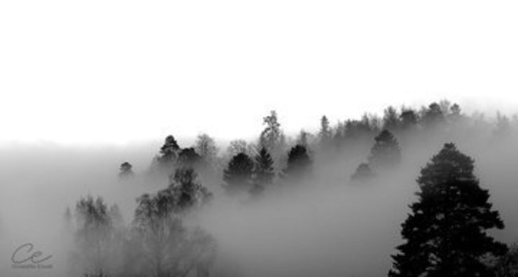 GR Wildlands    by Taakebanke
