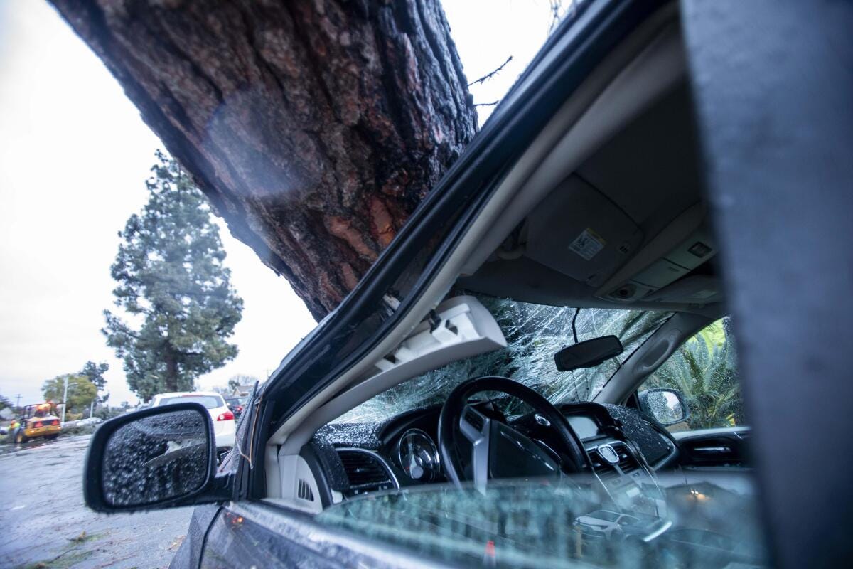 A tree trunk rests atop a car.
