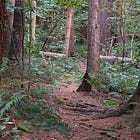 Face down on the trail at mile 7