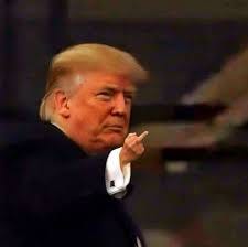 Donald Trump appeared to give the middle finger to a heckler during a tour  of Ford's River Rouge plant in Michigan. The White House has defended his  response as “appropriate,” while other
