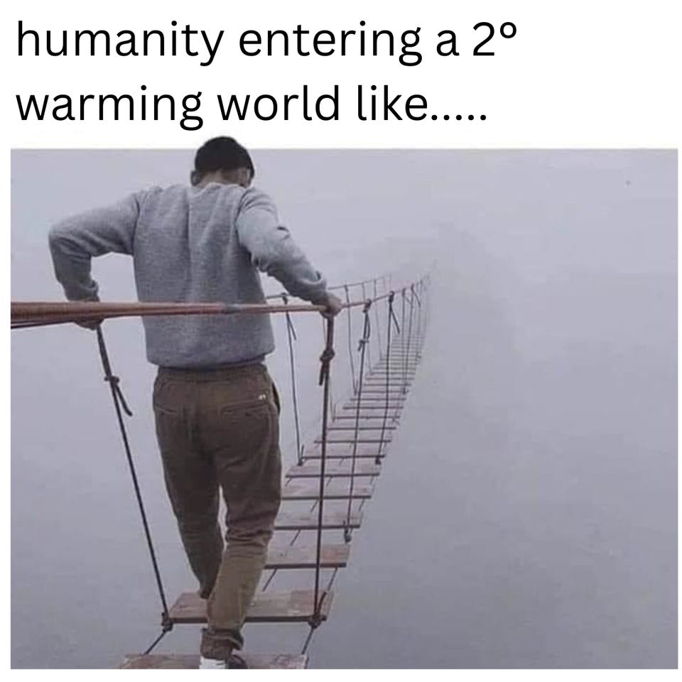 "humanity entering a 2° warming world like....." above a man stepping carefully onto a rope bridge that disappears into thick fog.