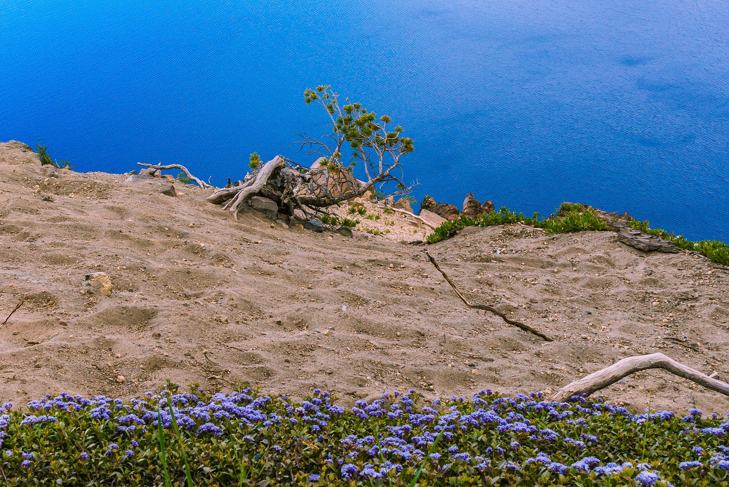A blue lake below a cliff with wildflowers.