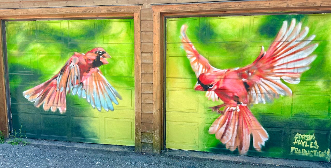 Unrealized Imagination