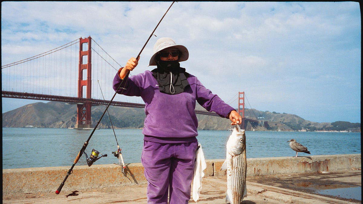The Golden Fisher