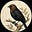 Complicated Cowbird's avatar