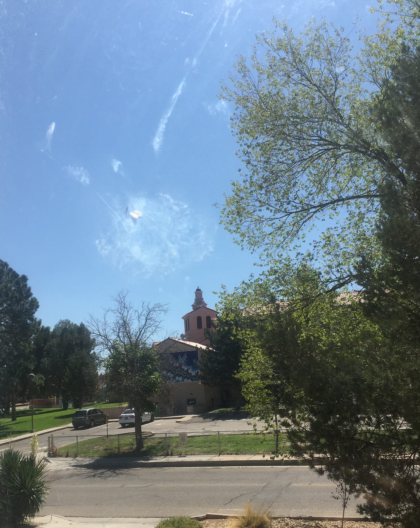 A plate glass window with white image of bird against blue sky and part of a tall green tree on the right. 