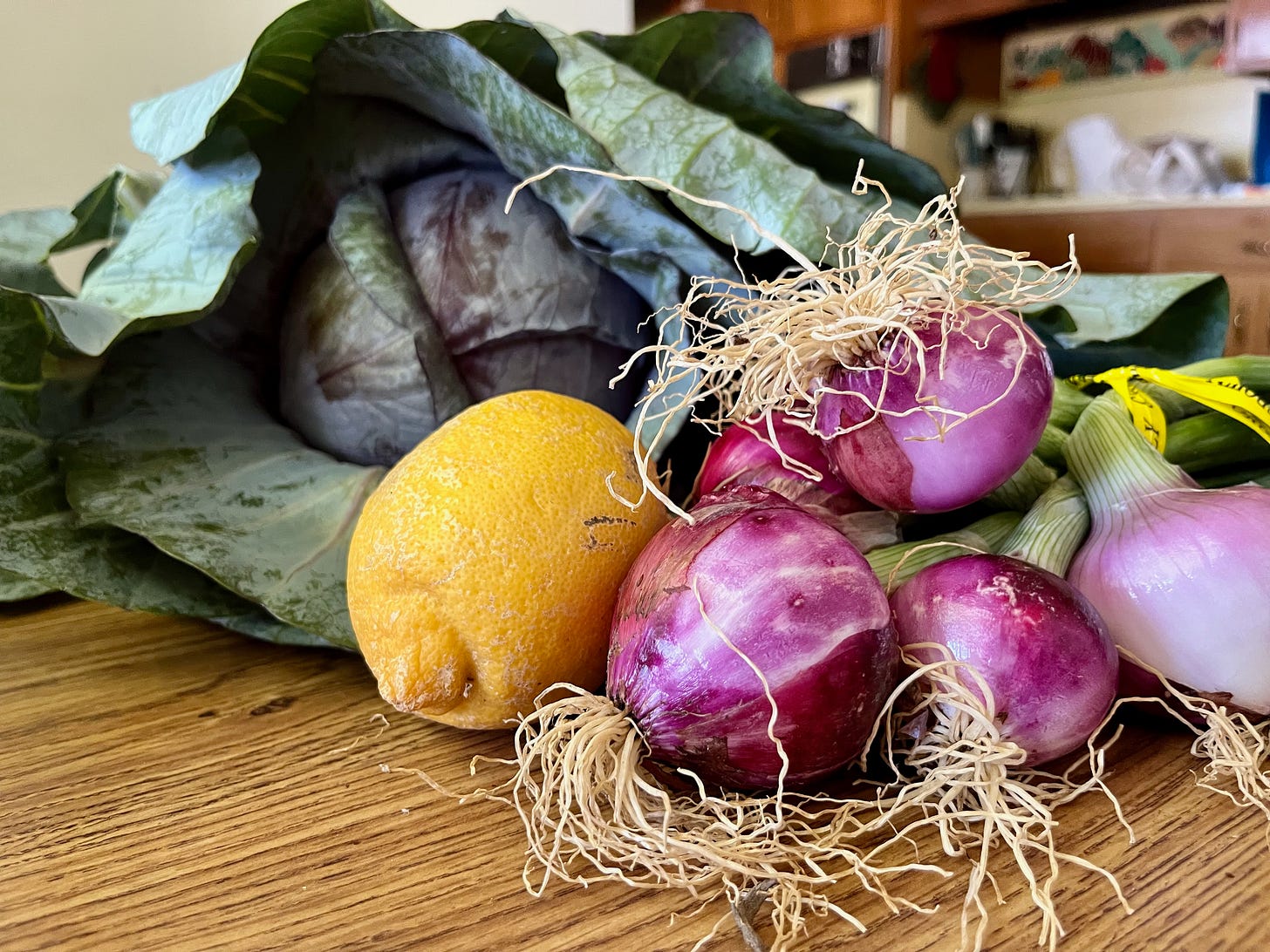 cabbage, lemon, onions on my table