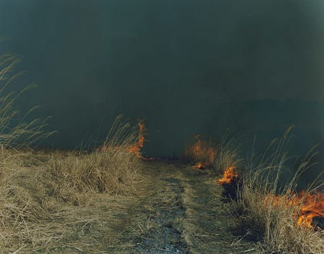 Fine art photograph by Japanese photographer Rinko Kawauchi.