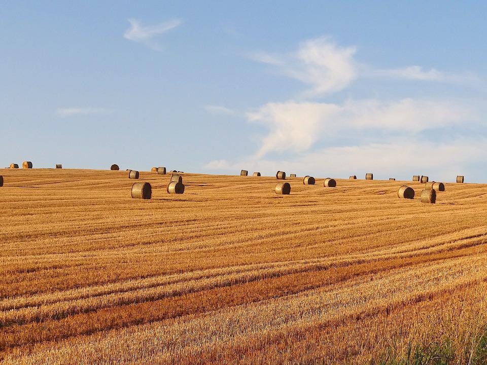 Free photos of Mid-august