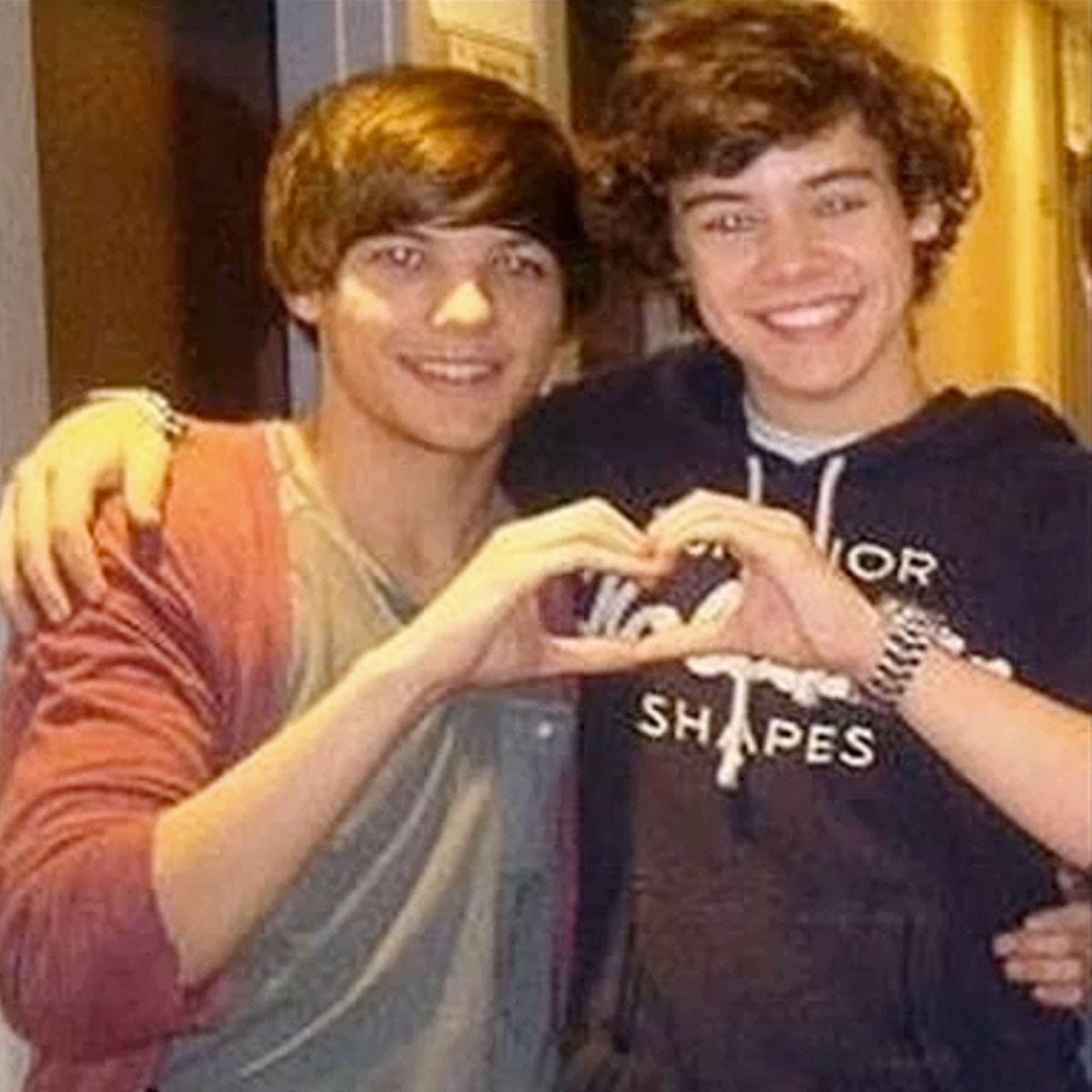 One Direction's Louis Tomlinson pleads for gay rumours around him and Harry Styles to stop - Mirror Online One Direction's Louis Tomlinson pleads for gay rumours around him and Harry Styles to stop - Mirror Online