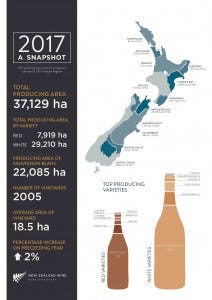 New Zealand Vineyard Reports from #NZWine