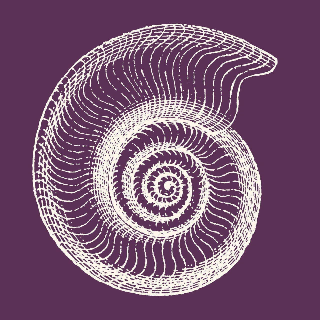 Kauana Coimbra logo