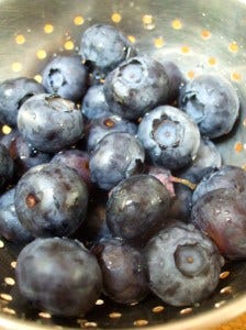fat and sassy blueberries fat and sassy blueberries