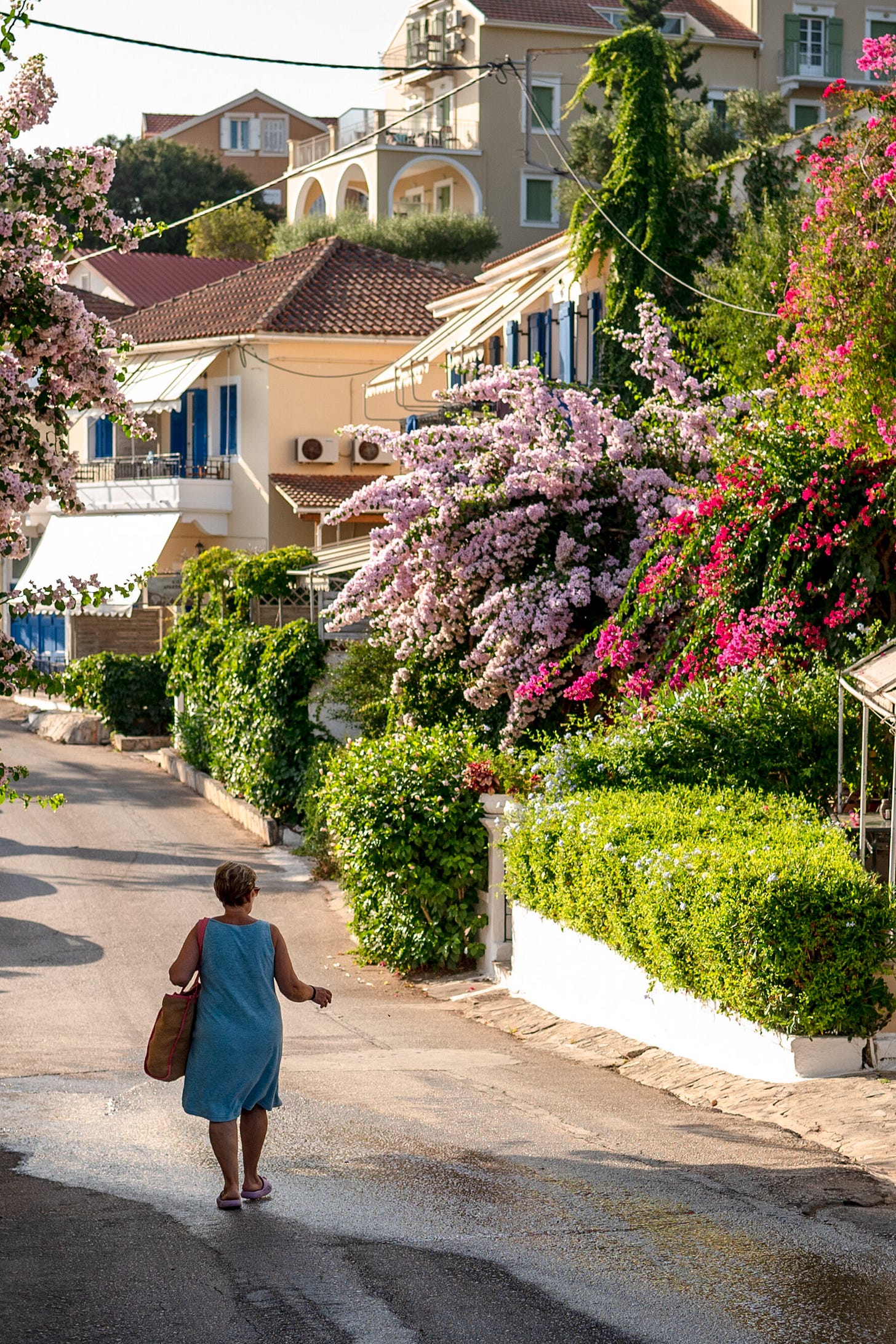 A person walks down a narrow street lined with lush hedges and flowers.