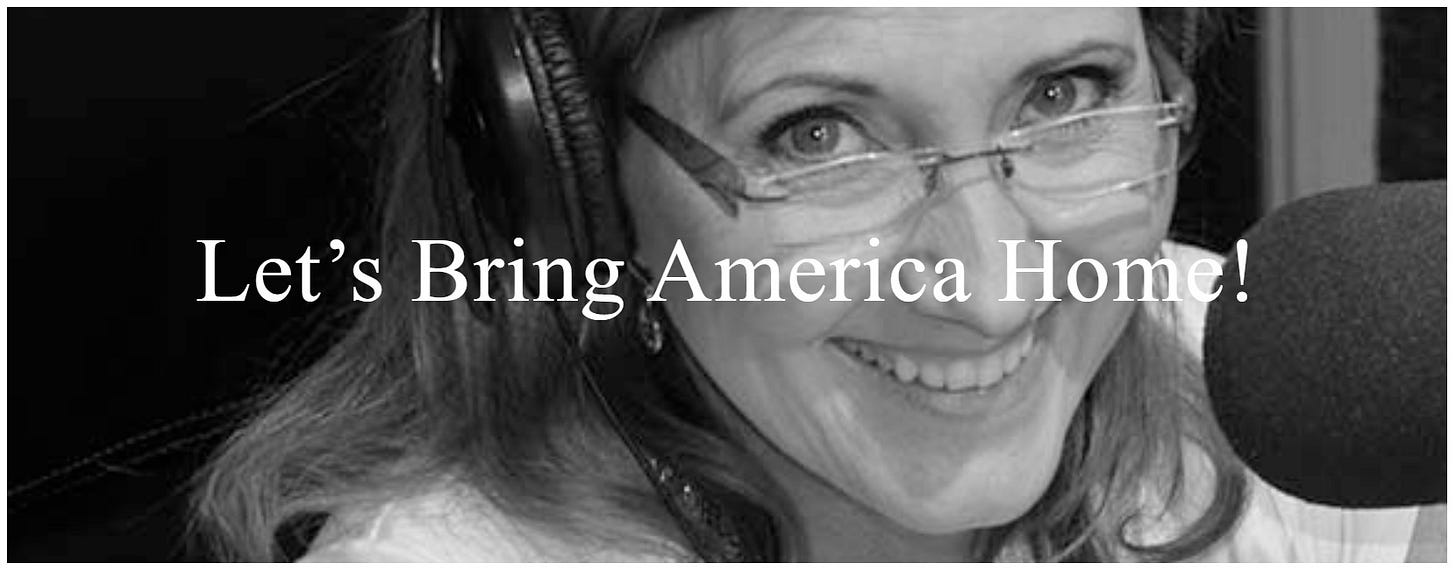 Ode To The 2020 Election - by Beth Ann