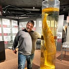 The International Phallological Museum