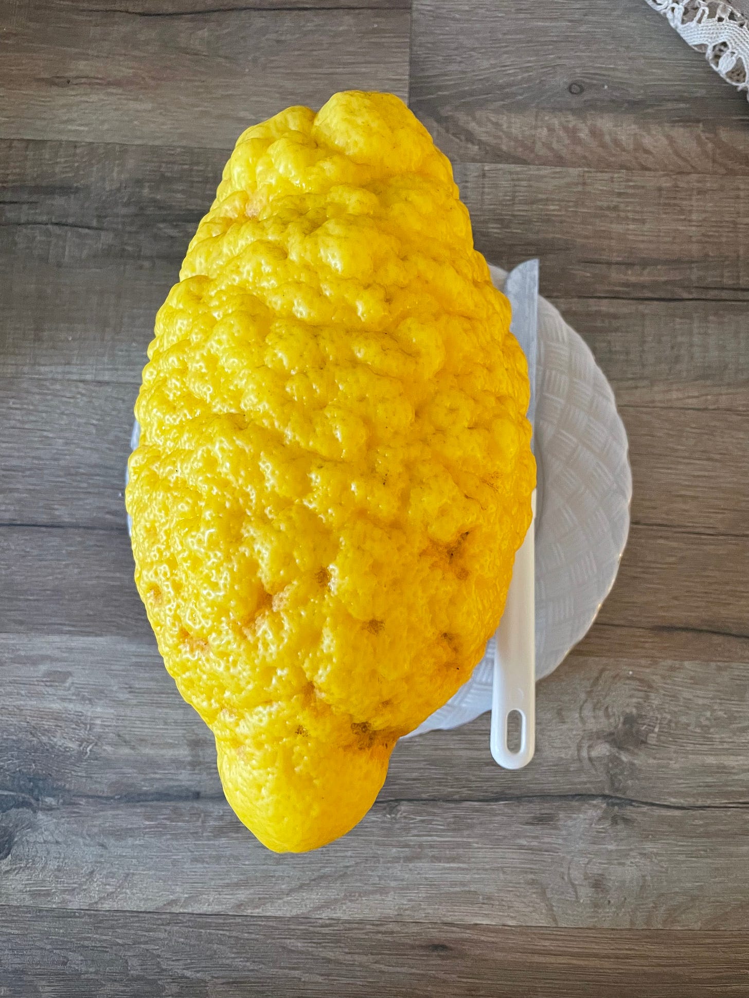 A huge cedro - citrus fruit on a table