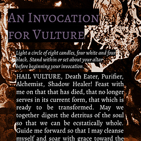 Digesting Disgust with Vulture