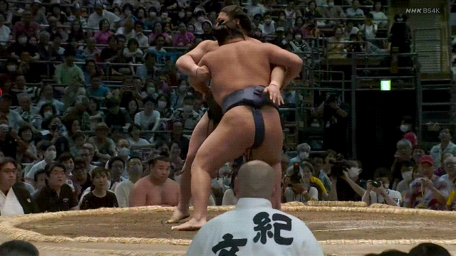 SUMO　STOMP/SUMO　COMP Bass Comp】SUMO STOMP/SUMO COMP【Sugi NB4】 - YouTube