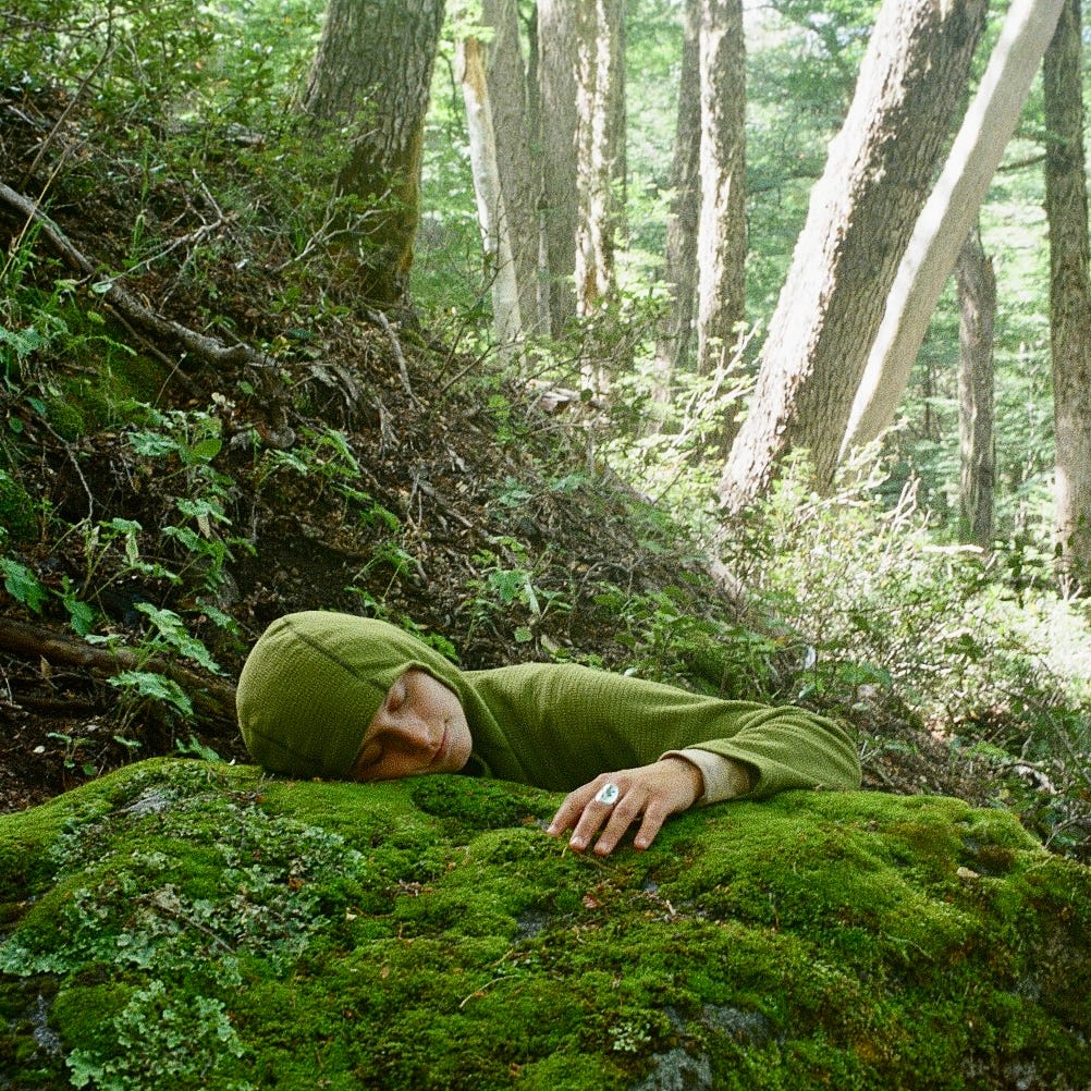 Letters From The Wilderness 