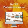 Aquarismo para Todos