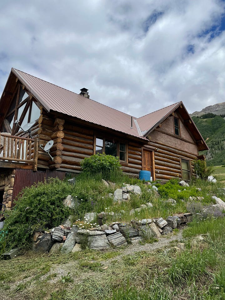log cabin with unruly garden