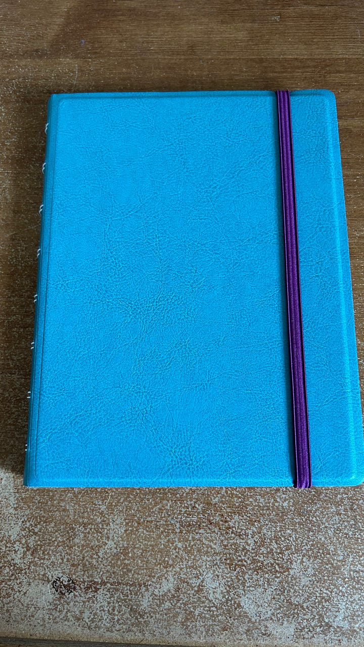 Filofax A5 refillable notebooks. One in red the other teal.