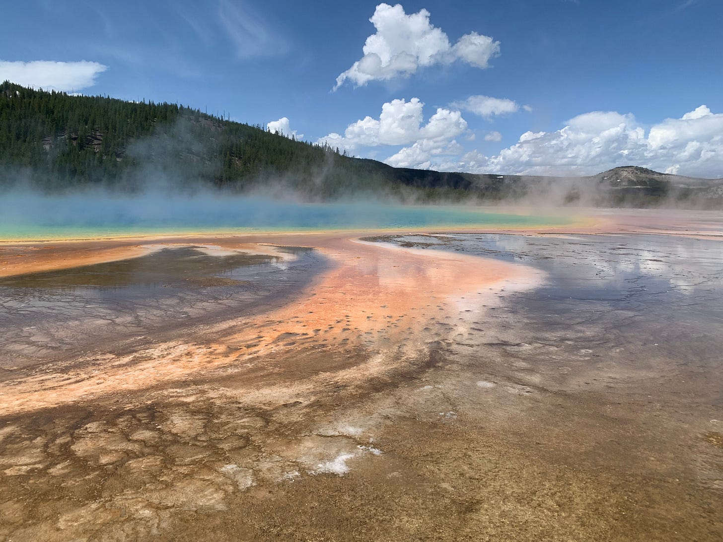 grand prismatic springs in yellowstone national park. rings of blue, green, yellow, orange and redish rings with green forest in the background.