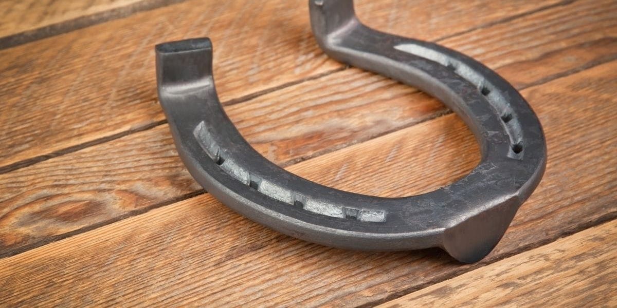 A Game of Horseshoes