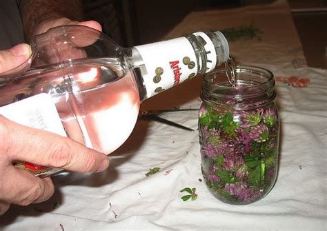 DIY: How to Make Your Own Tinctures from Herbs at Home