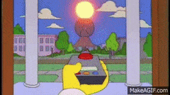 Burns Blocks the Sun