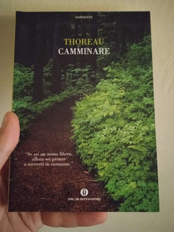 Il libro di Henry David Thoreau sulla camminata in senso spirituale e sociale.