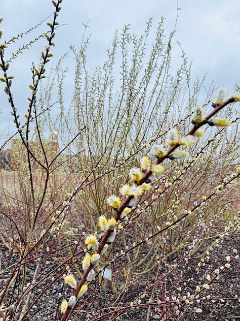 boring day to day photos