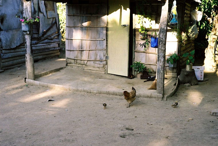 cuba_pastoral024