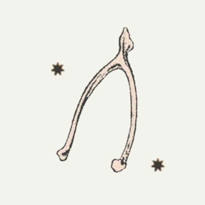 Wishbone