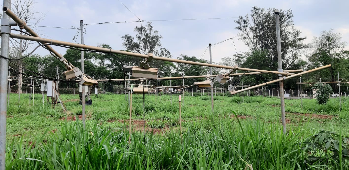 Uma área externa coberta por vegetação rasteira e gramíneas. No local, há uma estrutura formada por postes e tubos de metal. Ao fundo, há árvores altas e uma cerca delimitando a área. O céu está nublado, com tons suaves de cinza e azul