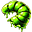 Green Grub