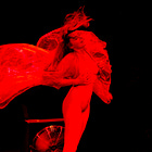 The Resurrection of the Body