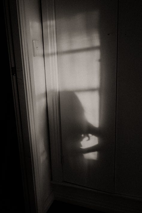 light and darkness. Healing through creativity. Photography. Art as healing. Rogue artist. Love Her Wild. Lauren Phillips