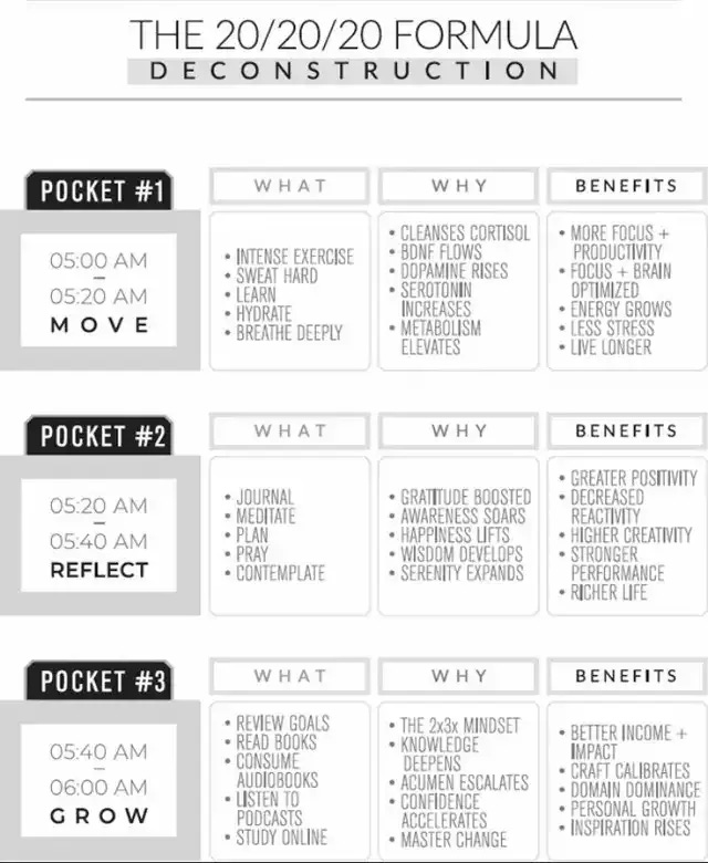 The 20/20/20 Formula by Robin Sharma (5AM Club) - Imgur | Am club,  Inspirational quotes, Robin sharma