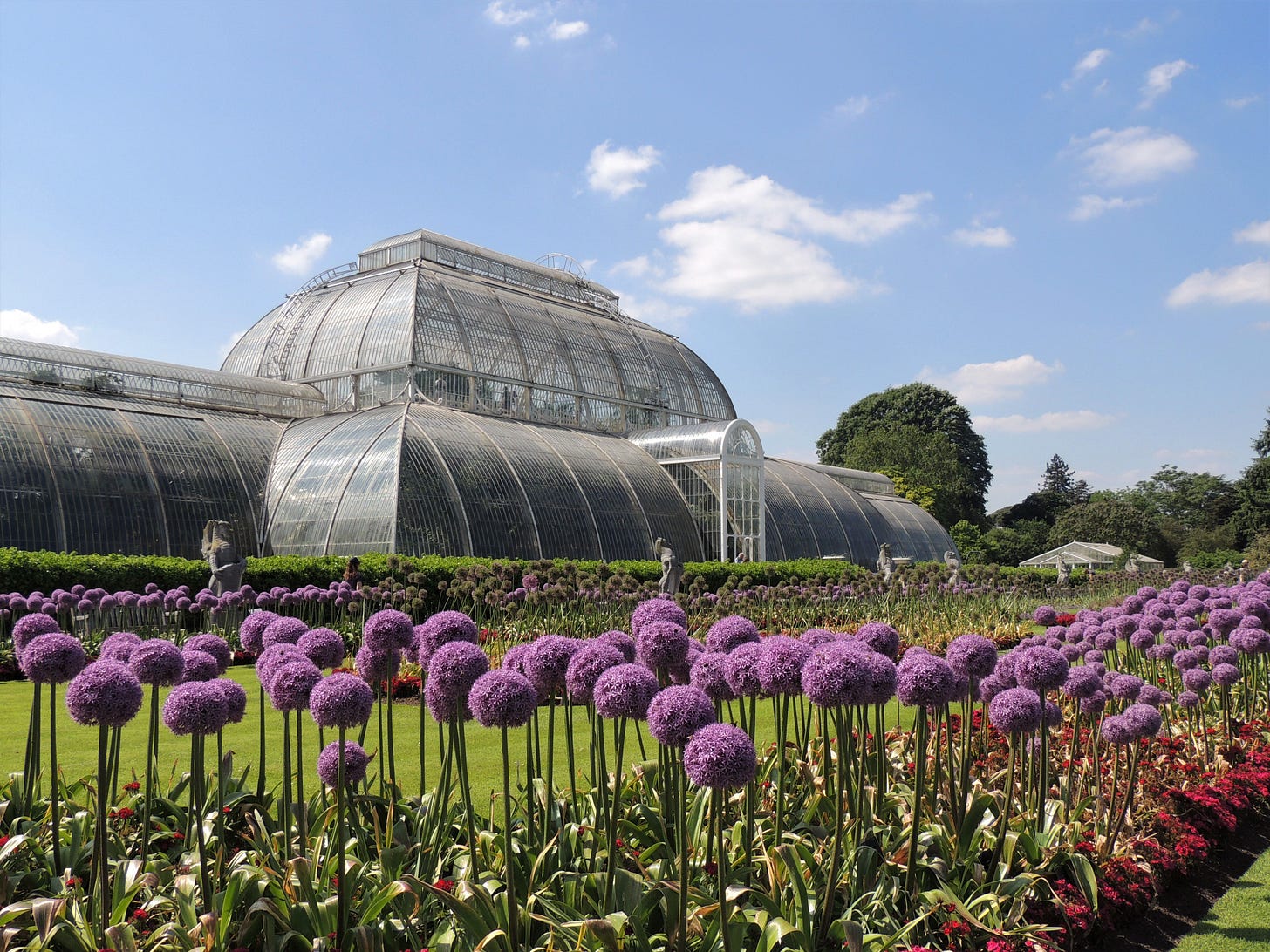 Photograph of the iconic glasshouse at the Royal Botanic Gardens, Kew, London, surrounded by vibrant purple giant alliums and colourful flower beds beneath a bright blue summer sky.