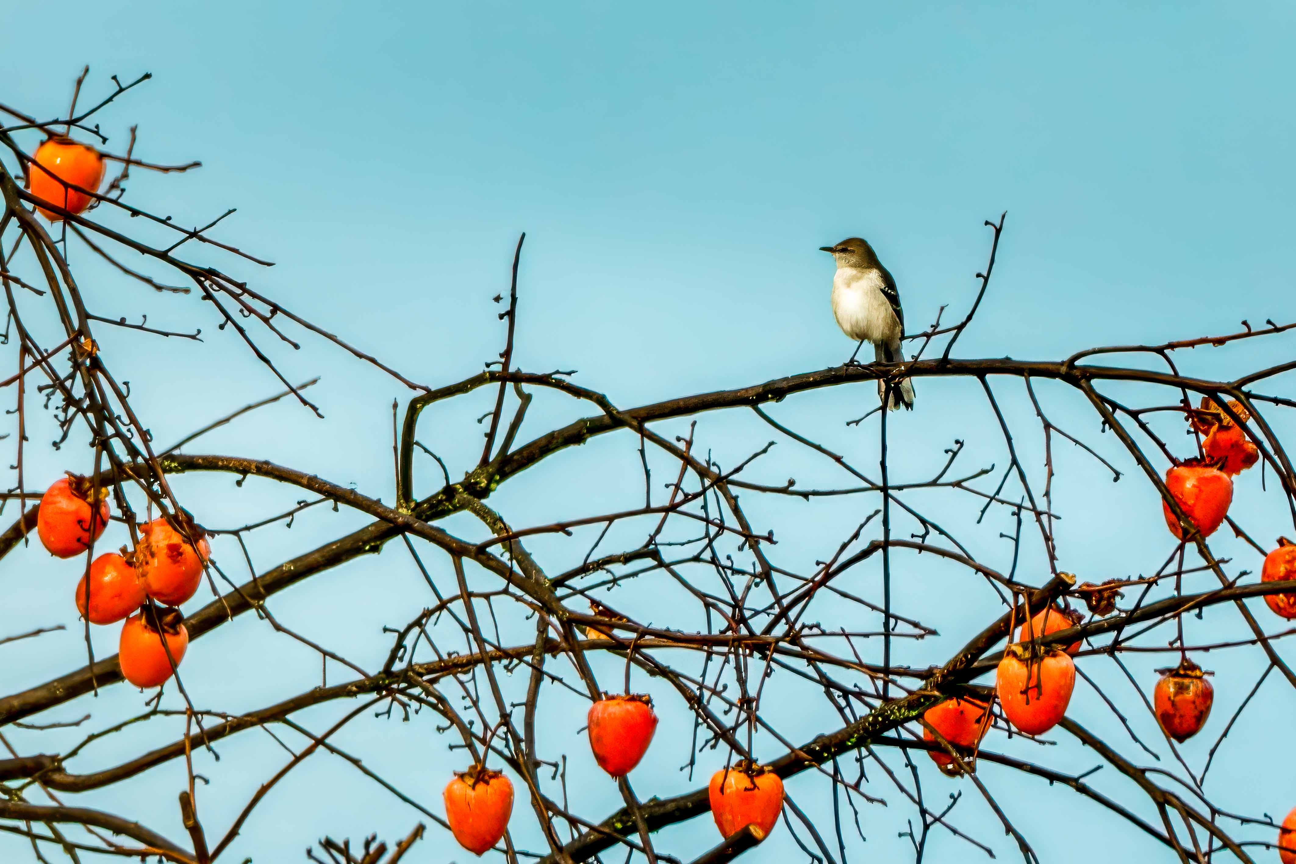 napavalleyfocus.substack.com - Under the Hood: Price Continues to Carry Napa Hotel Market as Room-Night Demand Lags