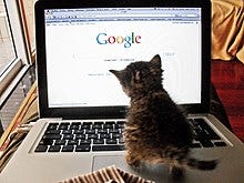 Google (verb) - Wikipedia