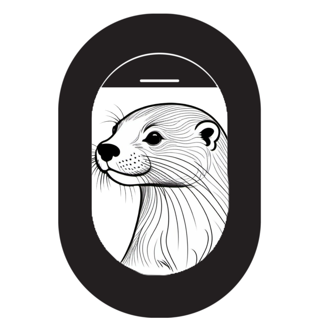 Views from the Window Seat