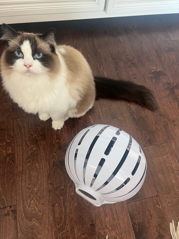 CurrentBody Skin Hair Regrowth LED helmet